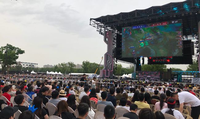 与肋部保护